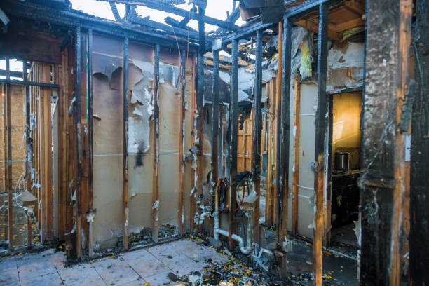 Professional Emergency Fire Cleanup technician working in Alondra Park, CA